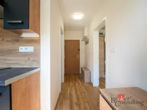 Prodej bytu 1+1, Hradec Králové - Moravské Předměstí, Formánkova, 35 m2