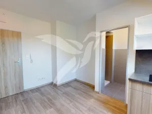 Pronájem bytu 1+kk, Šťáhlavy, U pekárny, 16 m2
