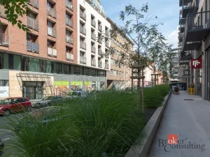 Pronájem bytu 2+kk, Praha - Holešovice, Na Maninách, 60 m2