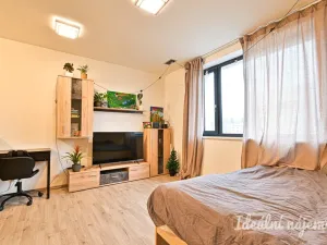 Pronájem bytu 1+kk, Brno - Židenice, Gajdošova, 34 m2