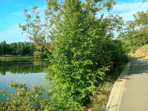 Prodej bytu 2+kk, Praha - Horní Měcholupy, Nad přehradou, 43 m2