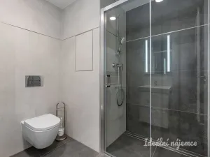 Pronájem bytu 1+kk, Praha - Hloubětín, Domalípova, 32 m2