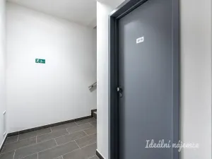 Pronájem bytu 1+kk, Praha - Hloubětín, Domalípova, 32 m2