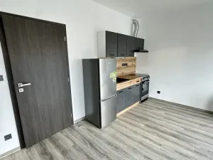 Pronájem bytu 1+kk, Plzeň, Pilařská, 31 m2