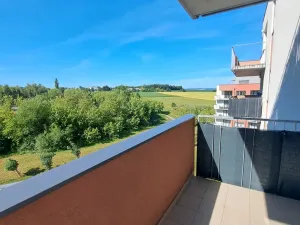 Pronájem bytu 1+kk, Olomouc - Řepčín, Aloise Rašína, 30 m2