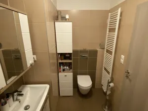 Pronájem bytu 1+kk, Olomouc - Řepčín, Aloise Rašína, 30 m2