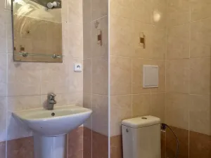 Prodej bytu 3+1, Černošín, Javorová, 63 m2