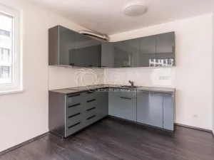 Prodej bytu 3+kk, Praha - Žižkov, Olgy Havlové, 71 m2