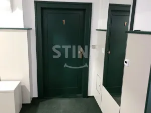 Pronájem bytu 4+kk, Opava, Sadová, 99 m2