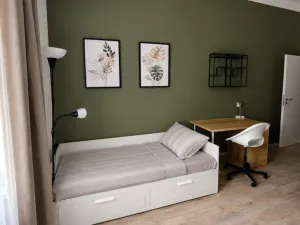 Pronájem bytu 1+kk, Olomouc, Kateřinská, 35 m2