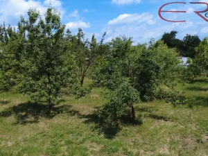 Prodej zahrady, Horní Počaply, 2335 m2