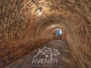 Prodej vinného sklepa, Čejkovice, 84 m2
