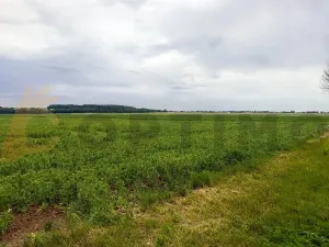 Prodej podílu pole, Tursko, 24693 m2
