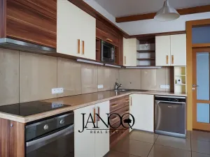 Pronájem bytu 3+kk, Brno, Rakovecká, 136 m2
