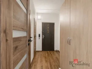 Prodej bytu 1+1, Plzeň - Severní Předměstí, Brněnská, 39 m2