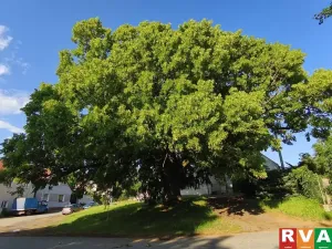 Prodej rodinného domu, Planá, 100 m2
