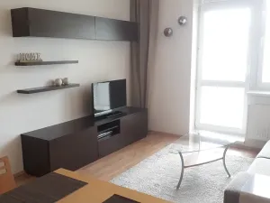 Pronájem bytu 3+kk, Brno, Hrázka, 76 m2