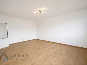 Pronájem bytu 1+1, Liberec, Bezová, 42 m2