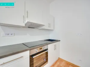 Pronájem bytu 1+kk, Olomouc - Nová Ulice, Resslova, 35 m2