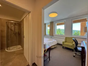 Prodej bytu 1+kk, Loučná nad Desnou - Rejhotice, 26 m2
