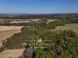 Prodej zahrady, Bukovina u Přelouče, 5350 m2