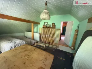 Prodej rodinného domu, Bor - Ostrov, 390 m2