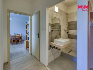 Prodej bytu 1+1, Písek - Pražské Předměstí, Jablonského, 41 m2