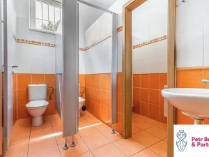 Pronájem skladu, Rakovník, Sportovní, 220 m2