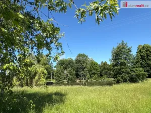 Prodej ubytování, Bor - Ostrov, 390 m2