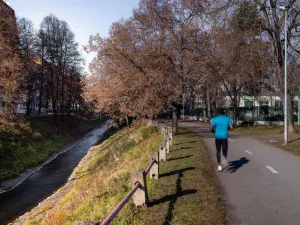 Prodej obchodního prostoru, Praha, Maroldova, 66 m2