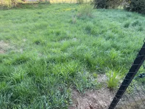 Prodej pozemku pro bydlení, Sloup v Čechách, Komenského, 671 m2