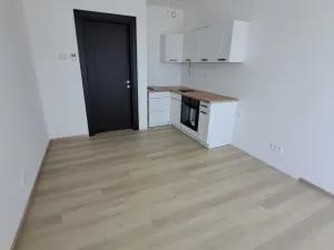 Pronájem bytu 1+kk, Olomouc, Třída Jiřího Pelikána, 28 m2