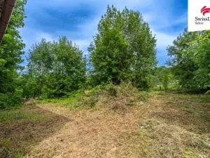 Prodej chalupy, Malá Morava - Podlesí, 345 m2