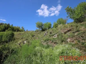 Prodej chaty, Svojšín, 40 m2