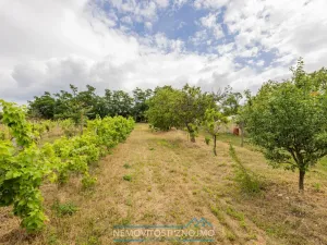 Prodej zahrady, Dobšice, K Hájku, 1078 m2