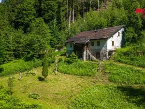 Prodej lesa, Jablonec nad Jizerou - Dolní Tříč, 18052 m2