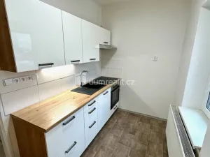 Pronájem bytu 1+1, Děčín - Děčín II-Nové Město, Lipová, 36 m2