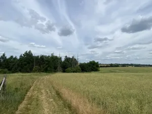 Prodej lesa, Slavičky - Pozďátky, 560 m2