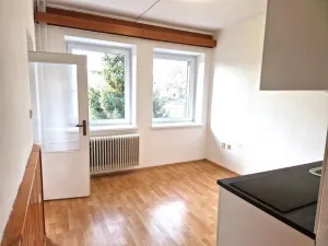 Pronájem bytu 2+kk, Olešná, 32 m2