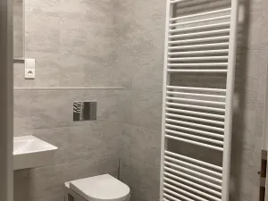 Pronájem bytu 1+kk, Brno - Židenice, Líšeňská, 40 m2