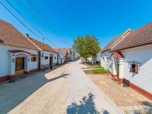 Prodej ostatní, Dolní Bojanovice