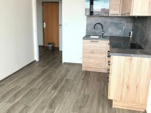 Pronájem bytu 2+kk, Praha, Bryksova, 40 m2