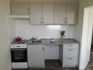 Pronájem bytu 2+1, Ostrava - Dubina, Norberta Frýda, 44 m2