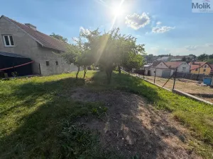 Prodej zahrady, Žerotín, 507 m2
