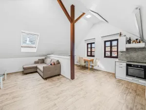 Prodej rodinného domu, Domažlice - Město, Spálená, 312 m2