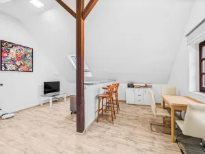 Prodej činžovního domu, Domažlice - Město, Spálená, 312 m2