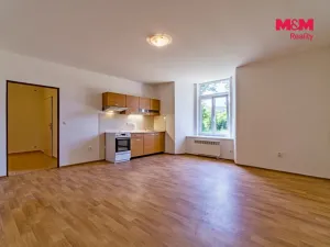 Pronájem bytu 1+kk, Vlčice, 41 m2