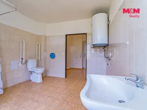 Pronájem bytu 1+kk, Vlčice, 41 m2