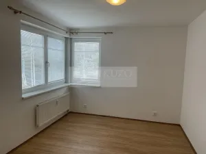 Pronájem bytu 2+kk, Plzeň - Východní Předměstí, Květná, 51 m2