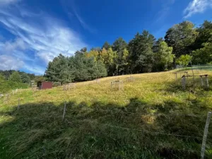 Prodej rodinného domu, Všelibice - Lísky, 175 m2